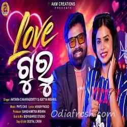 Love Guru